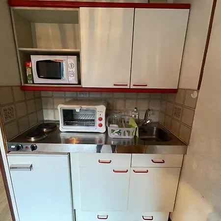 Apartment Confortable Avec Balcon, Animaux Acceptes, Le Lioran - Fr-1-787-99 *